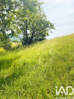 Land in Conques-en-Rouergue (12320)