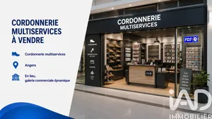 Chaussure, Cuir à Angers (49000)
