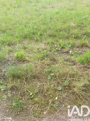 Land in Véron (89510)