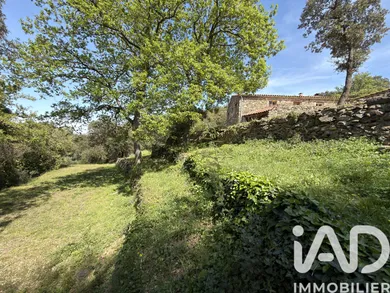 Mas à CALMEILLES (66400)