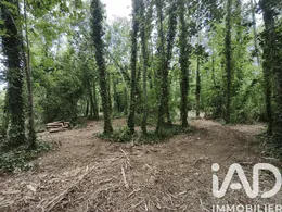 Terrain loisirs à Boult-sur-Suippe (51110)