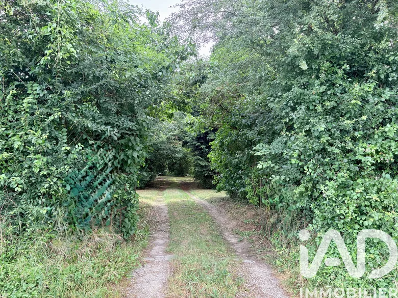 Maison 4 pièces 127 m² · à Allouis · 127 m² · 169 990 €