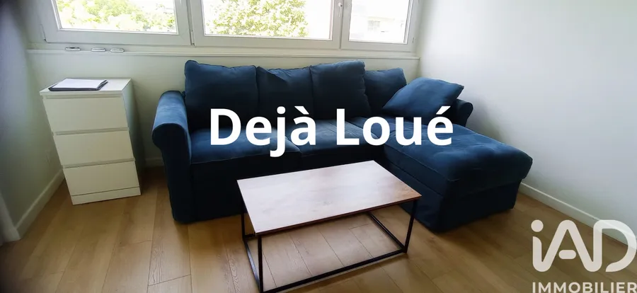 Appartement à L'Haÿ-les-Roses (94240) photo 3