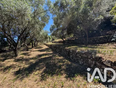 Terrain à bâtir à Grasse (06130)