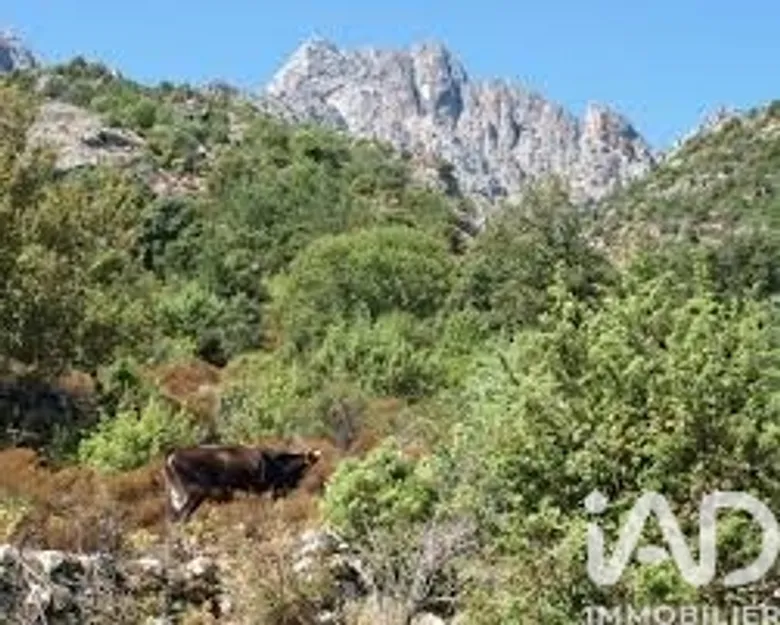 Terrain à POPOLASCA (20218) · 29 000 €