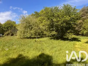 Terrain à bâtir à Savenay (44260)