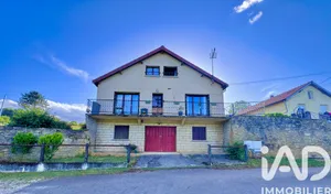 Detached house in Sermizelles (89200)