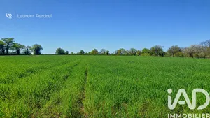 Terrain à bâtir à Allaire (56350)