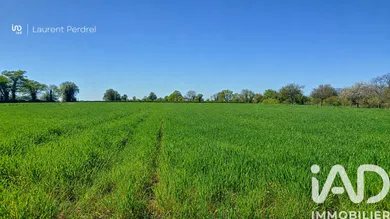 Terrain à bâtir à Allaire (56350)