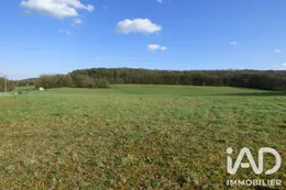 Terrain à bâtir à Nanteau-sur-Lunain (77710)