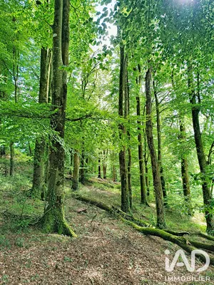 Terrain à saint martin des pres (22320)