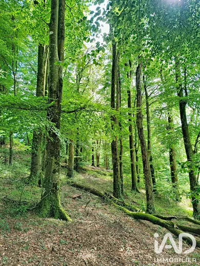 Terrain à saint martin des pres (22320)
