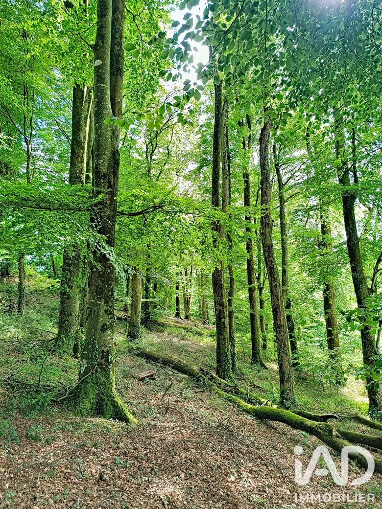 Terrain à saint martin des pres (22320) · 11 000 €