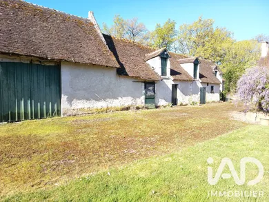 Maison à Couddes (41700)