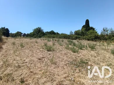 Land in Saint-Jean-de-Thouars (79100)