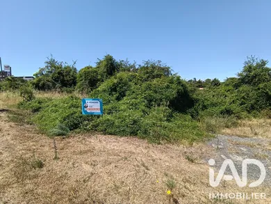 Land in Saint-Jean-de-Thouars (79100)