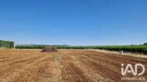 Terrain à ADISSAN (34230)