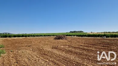 Terrain à ADISSAN (34230)