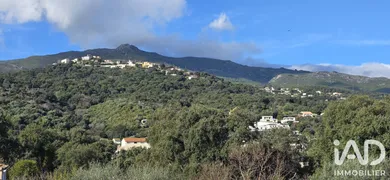 Maison à Borgo (20290)