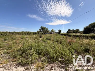 Land in Looberghe (59630)