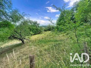 Terrain à bâtir à Polignac (43000)