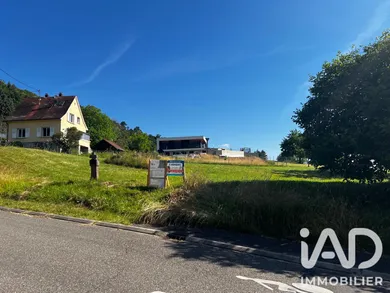 Land in Reinhardsmunster (67440)