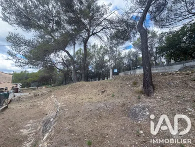Land in blausasc (06440)