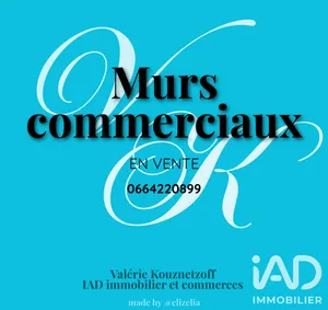 Murs commerciaux à Josnes (41370)