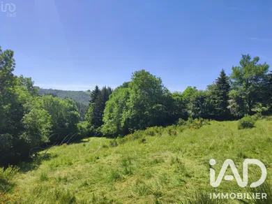 Terrain à Peyre en Aubrac (48130)