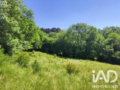 Terrain à Peyre en Aubrac (48130)