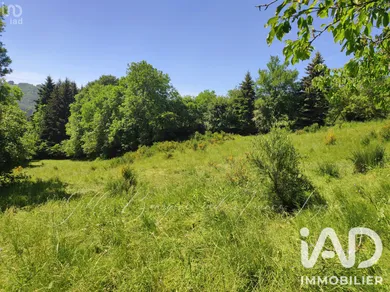 Terrain à Peyre en Aubrac (48130)