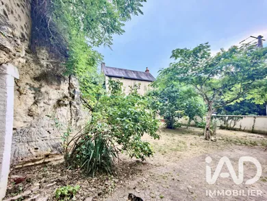 House in Villaines-les-Rochers (37190)
