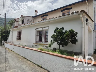 House in Arles-sur-Tech (66150)