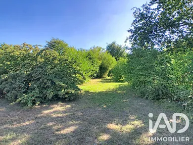 Terrain à Pont-Saint-Martin (44860)