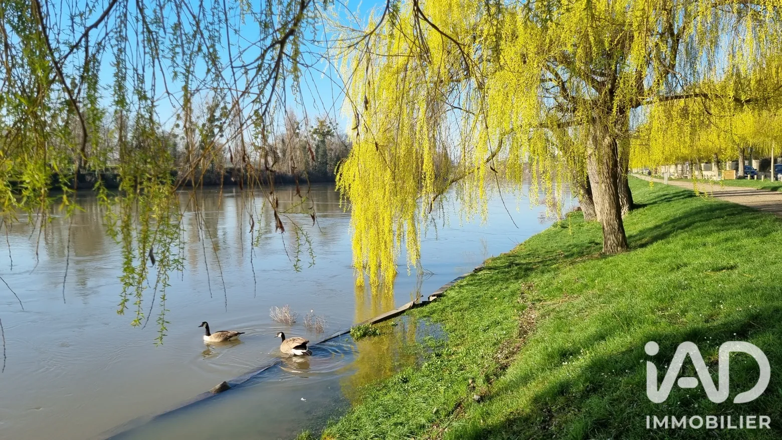 appartement à Carrières-sur-Seine