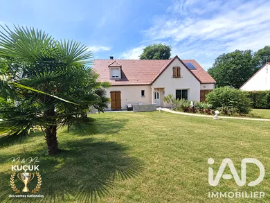 House in Villeny (41220)