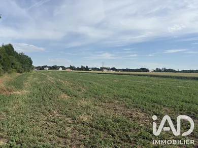 Building plot in Vouzy (51130)