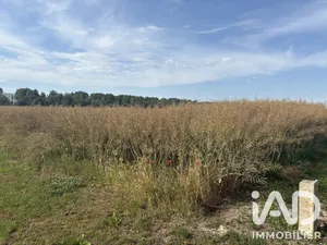 Building plot in Vouzy (51130)