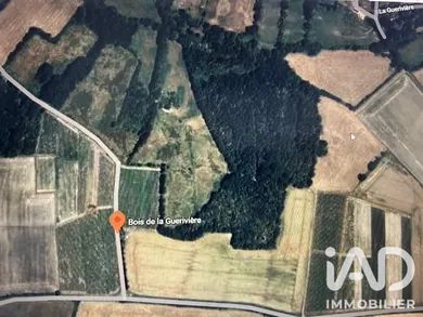 Terrain agricole à Saint-Lumine-de-Clisson (44190)