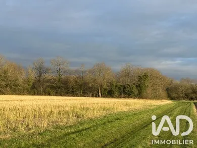 Terrain agricole à Saint-Lumine-de-Clisson (44190)