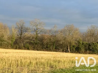 Terrain agricole à Saint-Lumine-de-Clisson (44190)