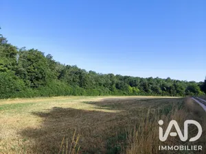 Terrain à Andryes (89480)