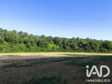 Terrain à Andryes (89480)