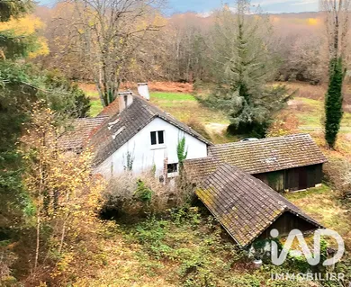 Maison de campagne à Moutiers-en-Puisaye (89520)