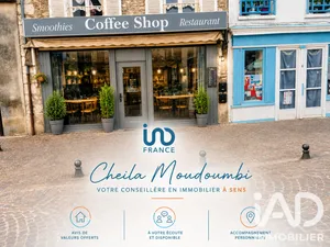 Immeuble à souppes -sur- loing (77460)