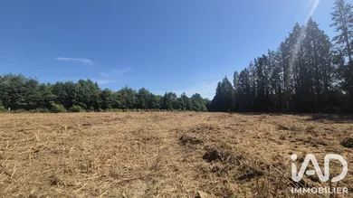 Building plot in Royères (87400)