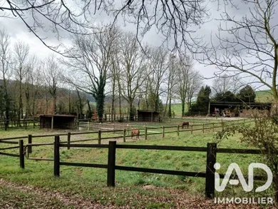 Horses property in Bezinghem (62650)