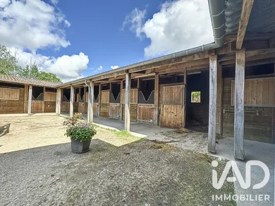 Commercial walls in Villers-en-Argonne (51800)