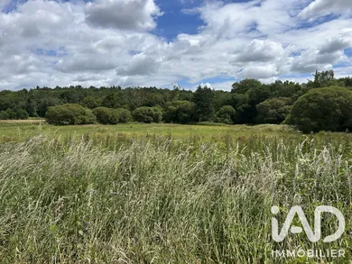 Land in coetlogon (22210)