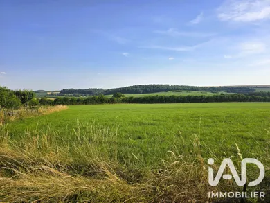 Terrain à Saint-Jean-lès-Longuyon (54260)